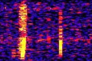 BloopSonograms