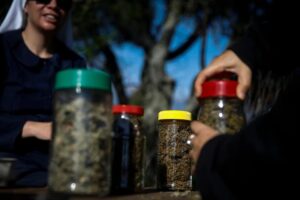 The Wider Image: Mexico's weed 'nuns' want to take the plant back from the narcos