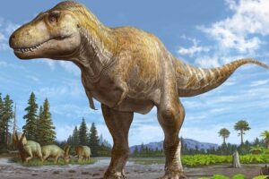 nm-tyrannosaur-sergey-krasovskiy-2-_wide-4c89a9f4b854c76d5b139be7492c1da39fe53669