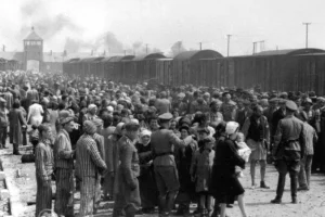 selection_on_the_ramp_at_auschwitz-birkenau_1944_auschwitz_album_1b