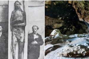 the-so-called-lovelock-giants-were-unearthed-in-a-cave-in-nevada