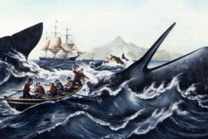 hunting-whales-in-the-industrial-revolution