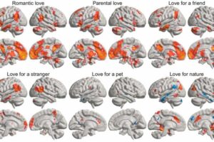 finding-love-study-rev