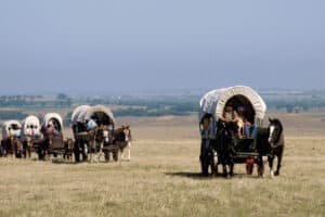 Covered Wagons Traveling on the Oregon Trail