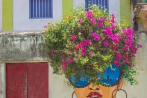 12-when-street-art-meets-nature-in-Pondicherry-India-960x1200-1