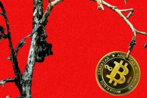 Kentucky-Farmers-Crypto-Mining-Duped-Business