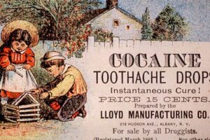 essay-final-nih-cocaine-tooth-drops