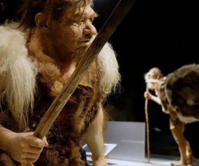 Neanderthal hunter in the Gallo-Romeins / Gallo Roman Museum, Tongeren, Belgium