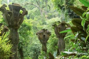 Xilitla, Mexico: Las Pozas gardens