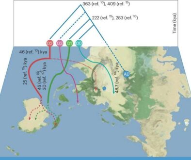 new-insights-into-the-23