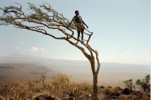 Screenshot 2024-12-29 at 07-07-03 The Hadza