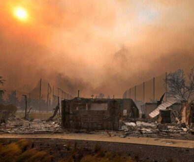 Los Angeles Fires Were Fueled by Climate Change