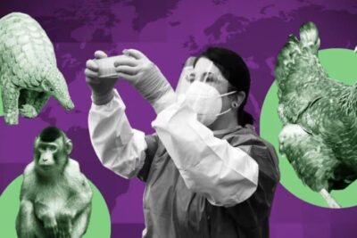 Screenshot 2025-01-13 at 05-02-43 The rising threat of deadly diseases jumping from animals to humans