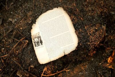 file-20250116-15-v21e0w