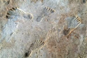 human_fossil_tracks_at_white_sands_new_mexico-1