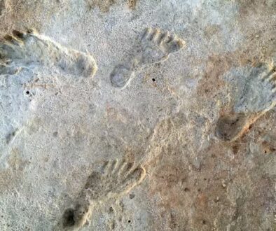 human_fossil_tracks_at_white_sands_new_mexico-1