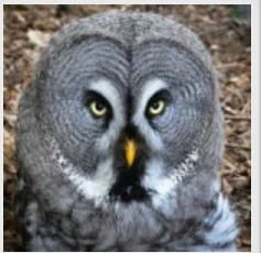 Fred sez: coming your way soon!