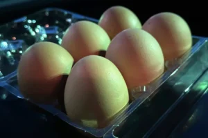 BIRD-FLU-EGGS1-qczf-jumbo