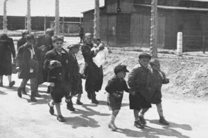 Children_from_Carpathian_Ruthenia_walking_towards_the_gas_chambers-67ac8e9c360b1__700