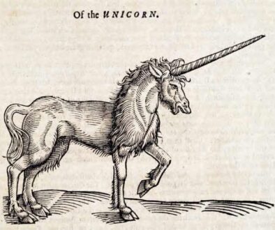 Oftheunicorn