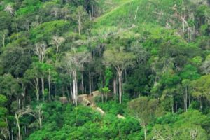 Screenshot 2025-02-15 at 07-31-59 Indigenous Man From Uncontacted Tribe Shows Up in Brazilian Village