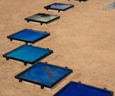 caam-sundial-chloe-bass-detail-1200x1606-1