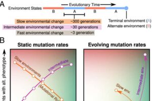 evolution-evolution-ev