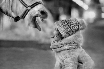 15-67e19cd672d41__700