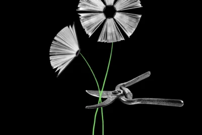 15editorial-highered-image-superJumbo