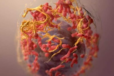 3D-Structure-Melanoma-Cell-Wide-777x777-1