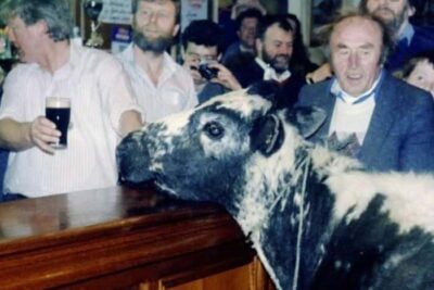 67048ce9aee46_462309488_1094168288812285_1918753780714902100_n__700