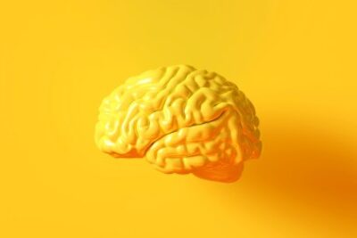 AdobeStock_1976383881