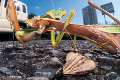 aprmay2025_d02_photocontestwinners