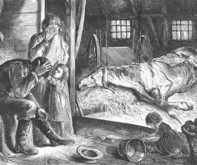 civilization_without_horses_the_epizootic_of_1872_1050x700