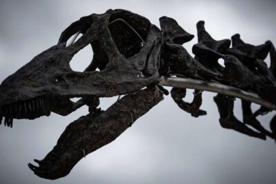 Earth’s 5 catastrophic mass extinctions, explained