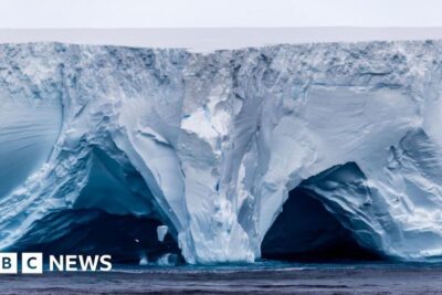 eed73b20-f8d5-11ef-8c03-7dfdbeeb2526