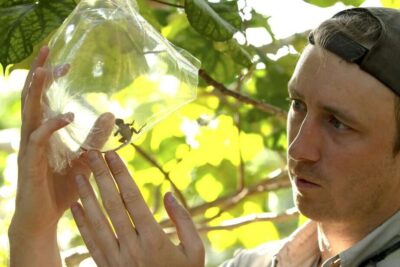 file-20250218-32-mvuz9f