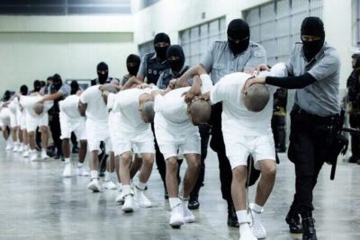 file-20250317-56-hhxxuq