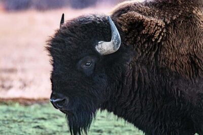 mana5280-iafntwWzGU0-unsplash-1200x931-1