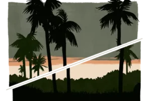 Section-Break-Palms1