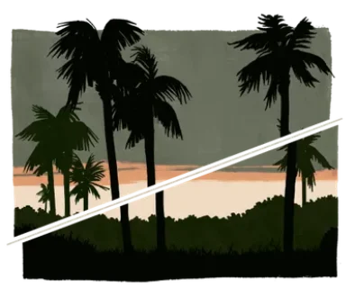 Section-Break-Palms1