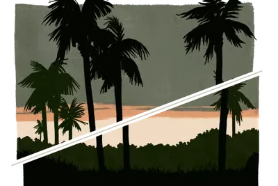 Section-Break-Palms1