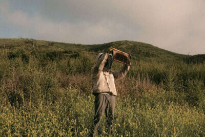 Telling_the_Bees_SEO