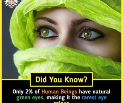 curious_and_unusual_facts_about_our_extraordinary_world_640_22