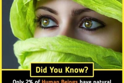 curious_and_unusual_facts_about_our_extraordinary_world_640_22