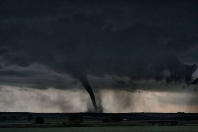 file-20230331-18-ihfljb