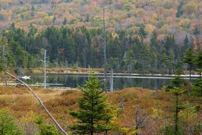 https3A2F2Fsubstack-post-media.s3.amazonaws.com2Fpublic2Fimages2F2d63994c-3844-4d11-bfea-3f4433e7e9bb_800x600