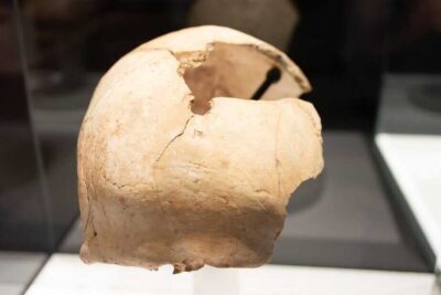 nailed-head-from-puig-castellar