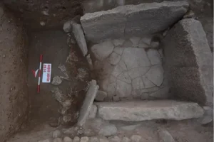 plan_of_basur_hoyuk_excavations_with_early_bronze_age_cemetery_contexts_numbered_and_detail