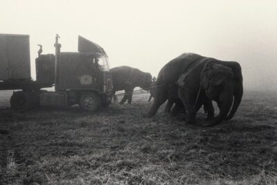 service-pnp-ppmsca-98800-98859v-800x530-1